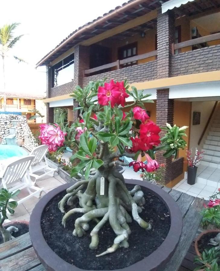 Pousada A Flor Da Terra Порту-Сегуру Экстерьер фото